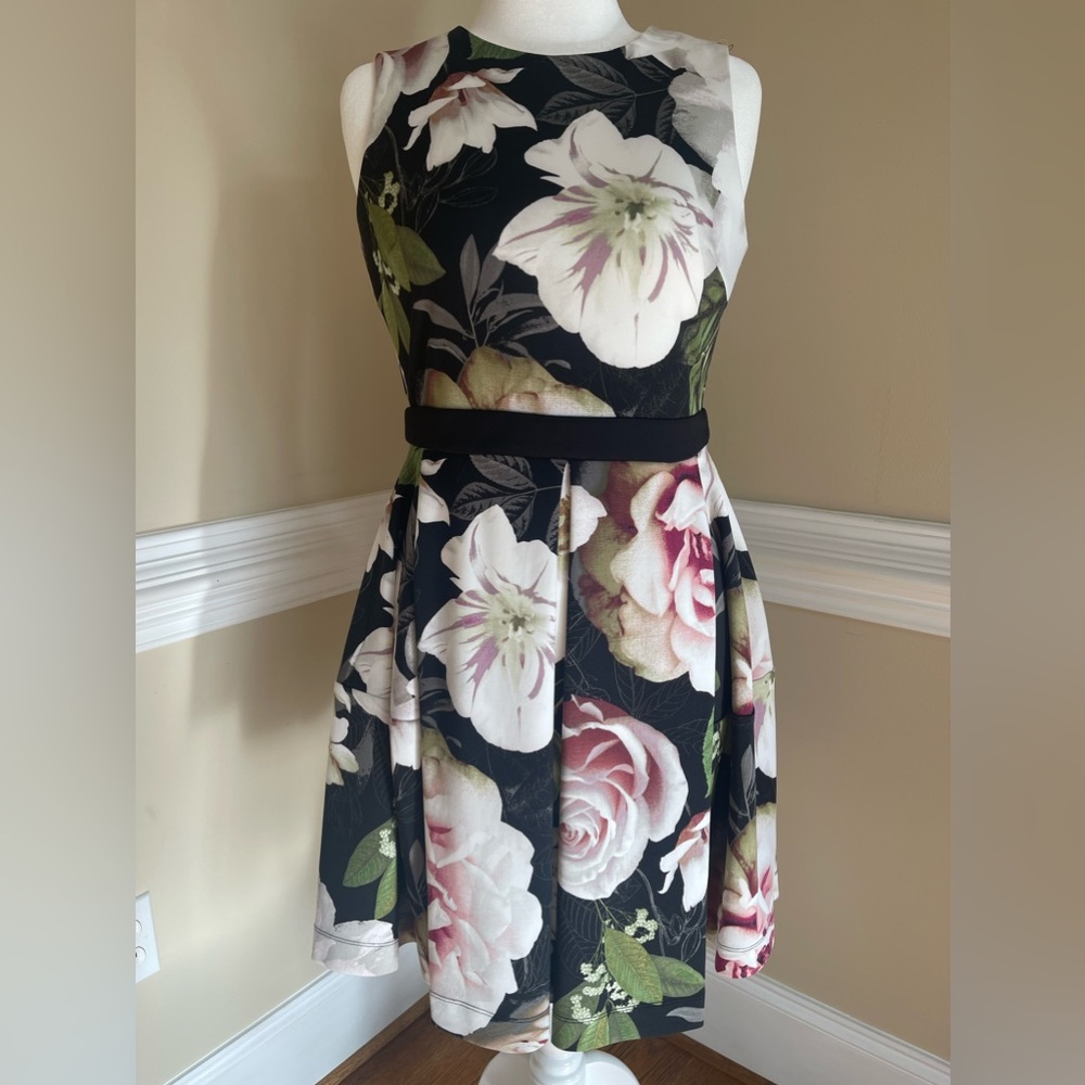 Danny Nicole Dress, Floral Fit & Flare, Size 10, Sleeveless, Zipper, Round Neck